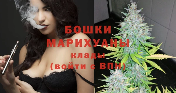 сатива Вязьма