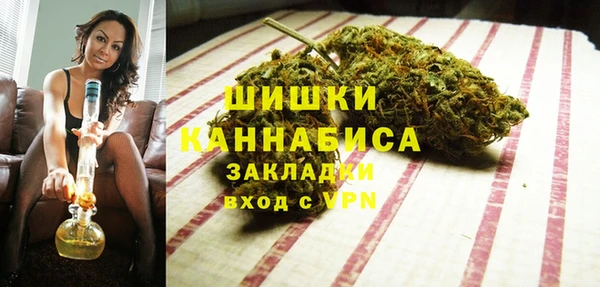 сатива Вязьма