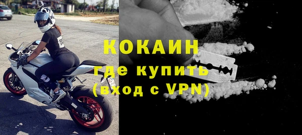 сатива Вязьма