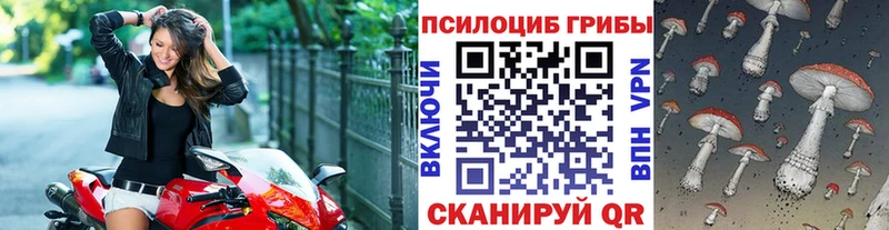 OMG ссылка  продажа наркотиков  Поворино  Галлюциногенные грибы прущие грибы 